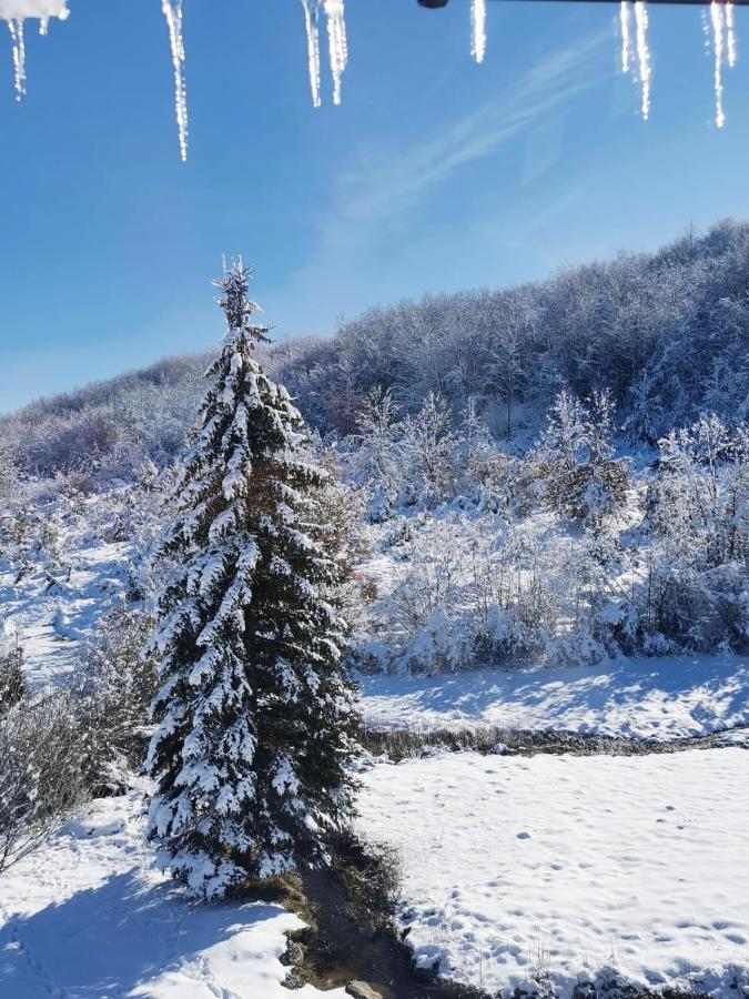 Apartman Sveti Rok Exteriör bild